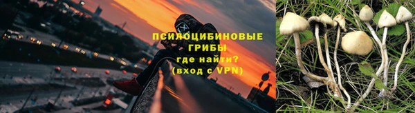 мдпв Россошь