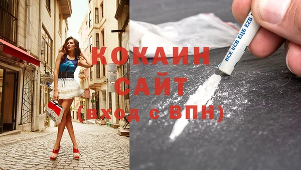 хмурый Каменногорск