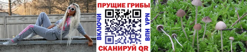 Псилоцибиновые грибы мицелий  Ирбит 